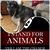 Adam Teper's profile image