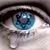 Amy Zucker Stein's profile image