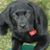 Paul Francis Trezek's profile image
