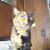 Dwight Keirstead's profile image