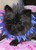 Debbie W.'s profile image