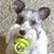 Elizabeth Swartz Schroeder's profile image