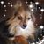 Elaine Pooni's profile image