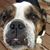 Andy Frederick's profile image