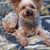 Wendye Blackwell Lanier's profile image