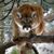 Michael Shivley's profile image