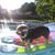 Aimee Friedlein's profile image