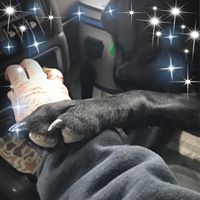 Bobbi Short's profile image