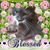 Kym Hames's profile image