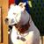 Robin Haney's profile image