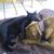 Ailyn Prieto's profile image
