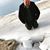 Jeremy R Kennison's profile image