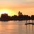 Susan Caston's profile image