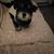 Debra Moore's profile image