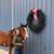 Hana Leigh Hanselman's profile image