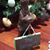 Cathleen Walsh Denault's profile image