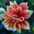 Carol Obergfell's profile image