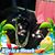 Linda Gaul's profile image