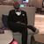 Jarren Walker's profile image