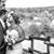Jessica Chaffee's profile image