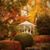 Patricia Brown's profile image