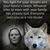 Vicki Schramm's profile image