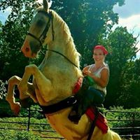 Bridget Allen's profile image