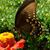 Traci Lowder's profile image