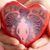 Diana Dugger's profile image