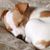 Michele Ade's profile image