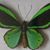 Linda Sims Lewis's profile image