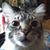 Brian T Geigner's profile image