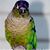 Tracy Russell's profile image