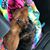 Candace Acord's profile image