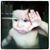 Regina Hurlbert's profile image