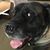 Jamie Maden's profile image