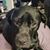 Judy Picco Buren's profile image