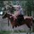 Gene Holmes's profile image