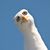 Julie Hoyt Fisk's profile image