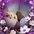 Jenny Kissner's profile image