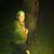 Jason Parker's profile image