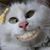 Deborah Wentworth's profile image