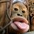 David Thompson's profile image