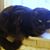 Judy Meeker's profile image