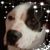Frank Padron's profile image