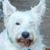 Donna McNamara's profile image