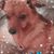 Rosanna Freeman's profile image