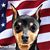 Brad Romero's profile image