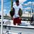 Austin Trull's profile image