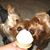 Bob Stimley's profile image